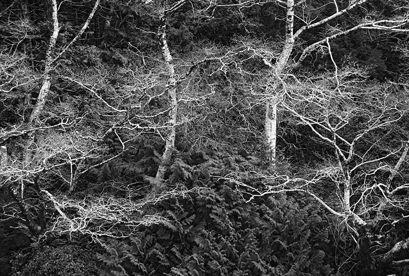 Natures Palette image 0