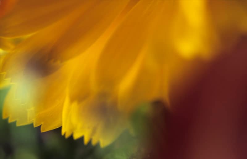 Mirage of Color image 0