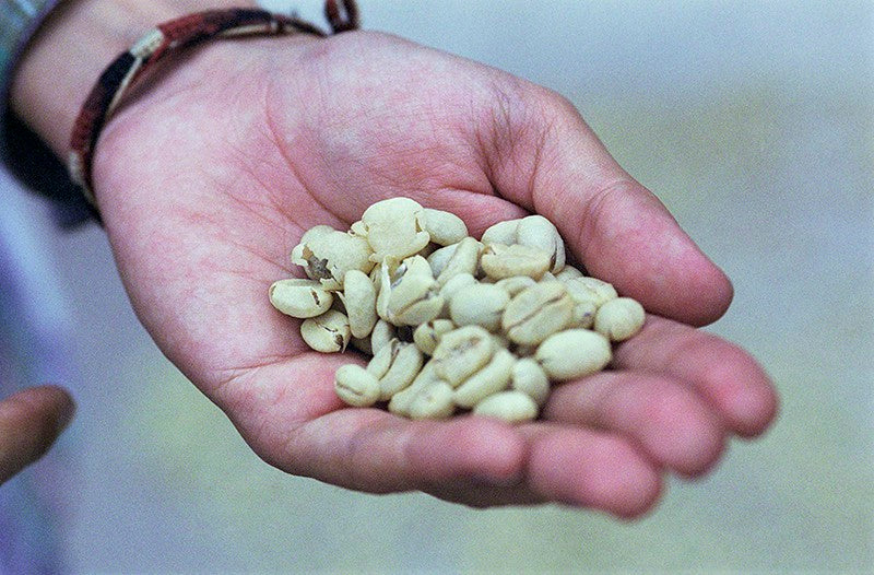 The Hand of Coffee image 0