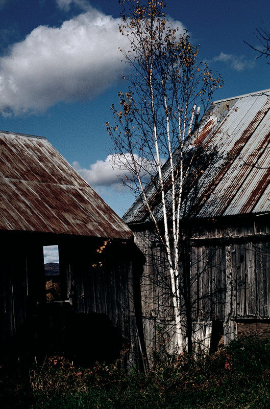 A Portrait of Vermont