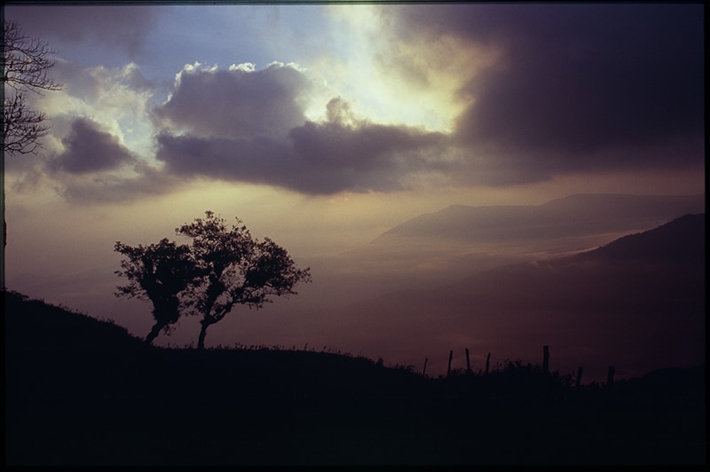 The Early Riser image 0