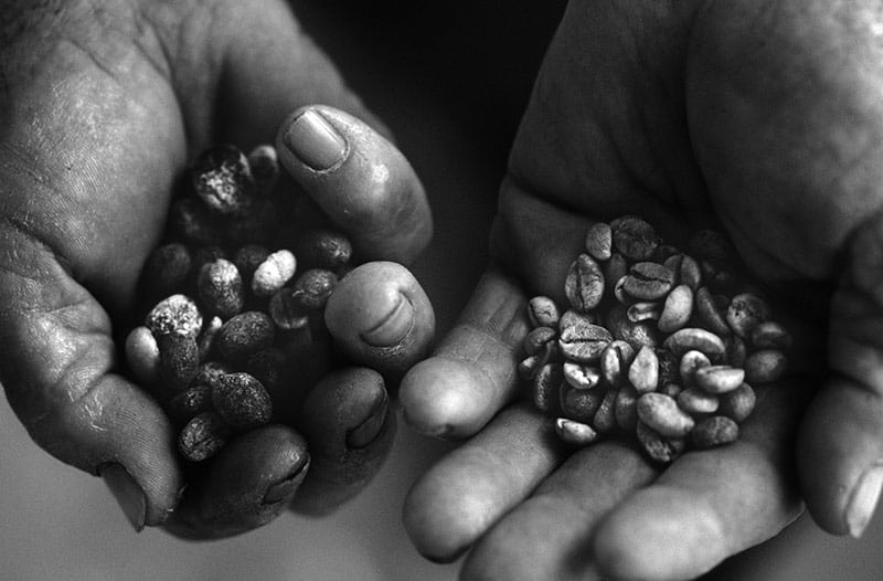 Working Hands III image 0