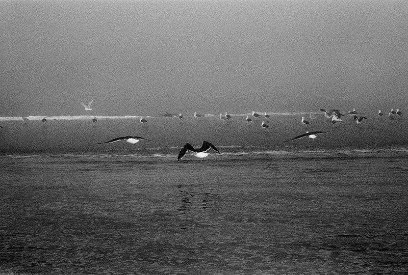 Rising Tide image 0