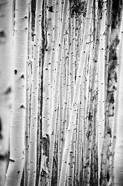 Vertical Rise image 0