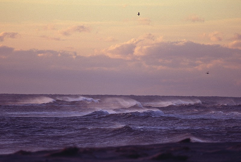 From Sea to Shining Sea image 0