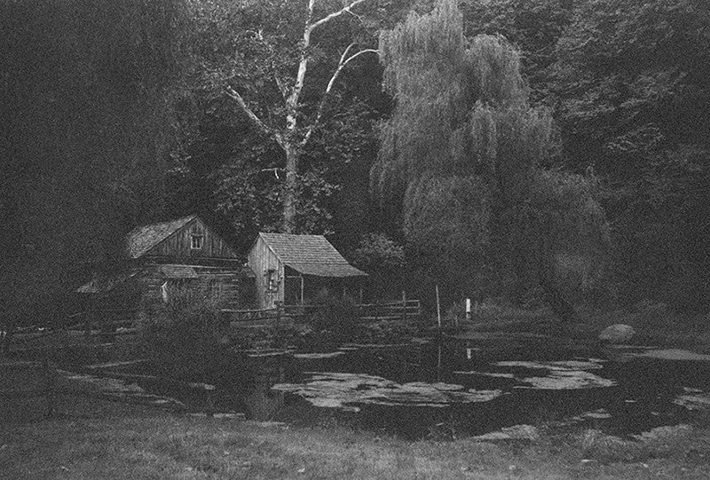 Deep in the Hollow image 0