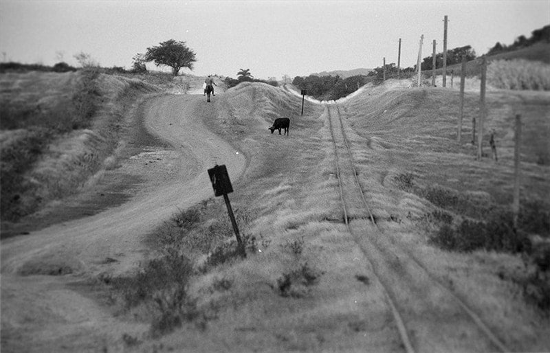 Heading Home image 0