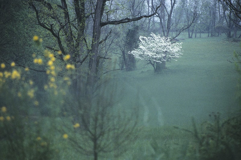 The Sanctuary image 0