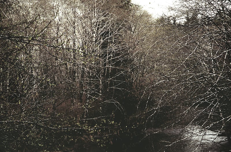 Woven image 0
