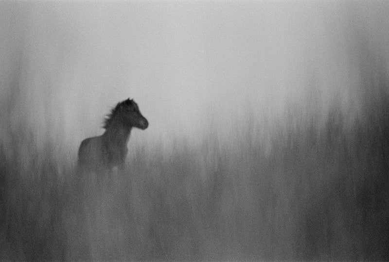 Distant Yesterday image 0