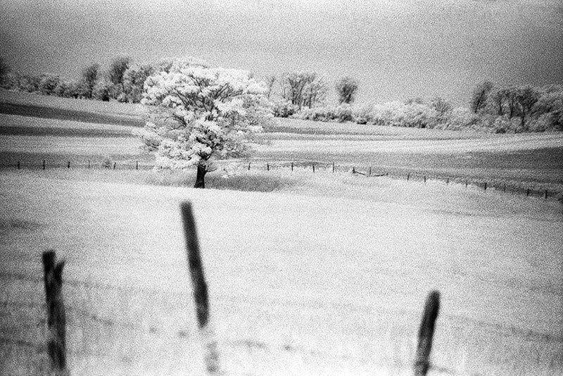 Days Remembered image 0