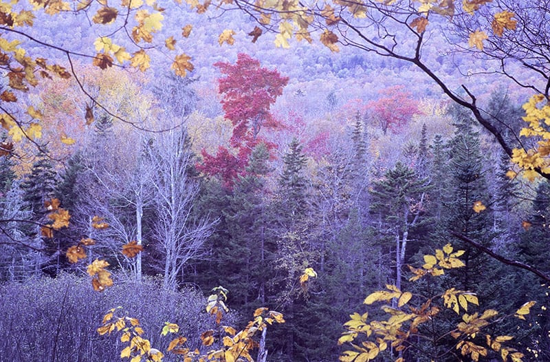 Shades of Color image 0