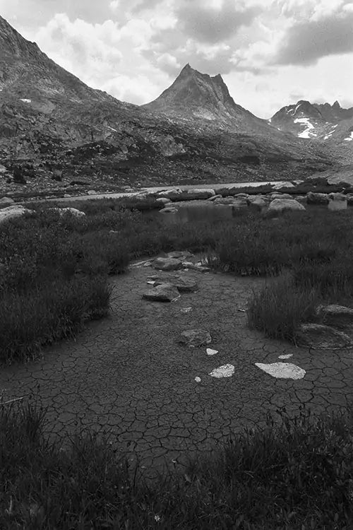 Winds Migration image 0