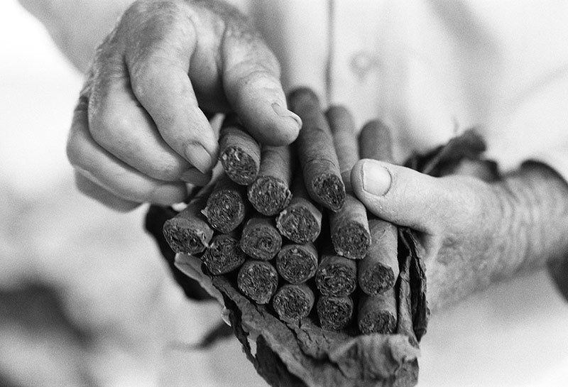 Working Hand II image 0