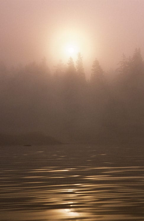 Song and Dance image 0