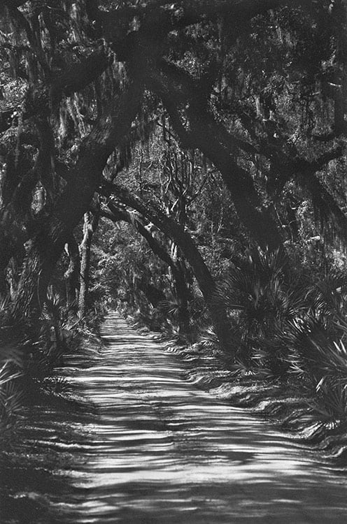 Enchanted Passage image 0