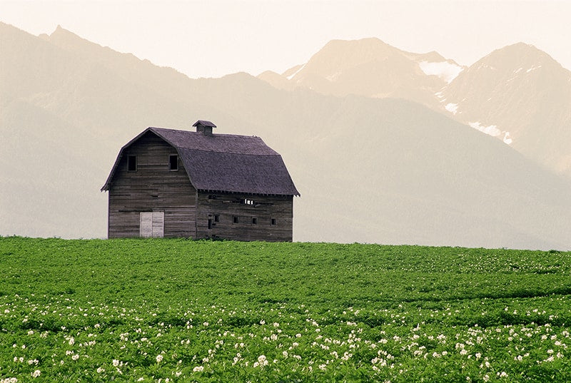 Missions Harvest image 0