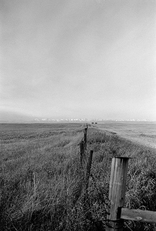 To the Mountains image 0