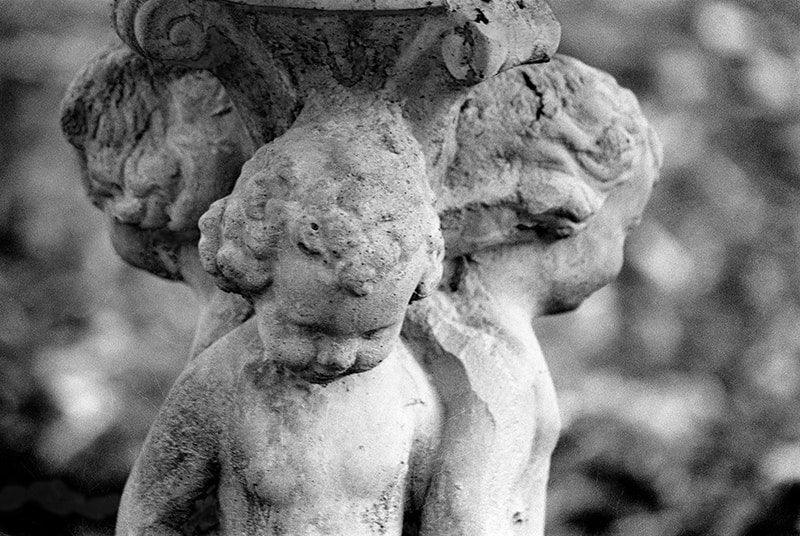 Innocence image 0