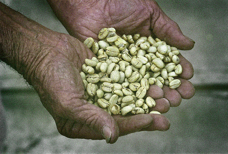 Hand to Cup