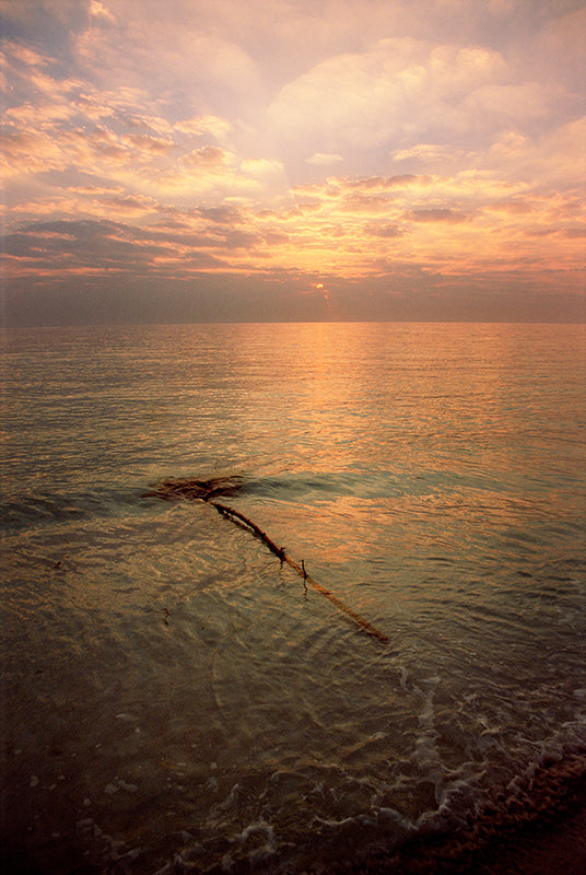 Floating in a  Dream