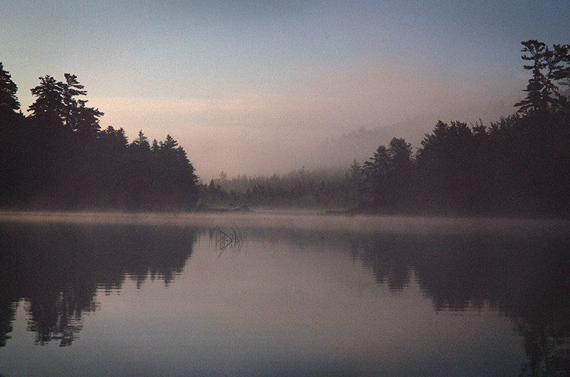 The Stir of Dawn