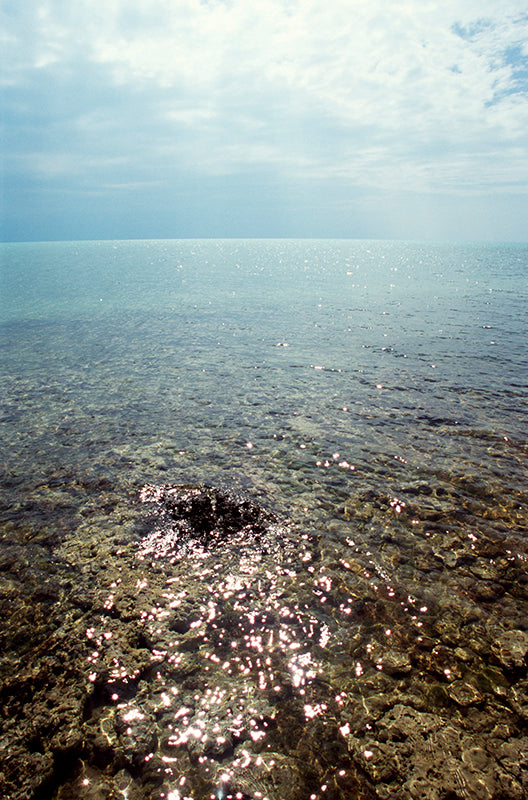 Mesmerized By the Day