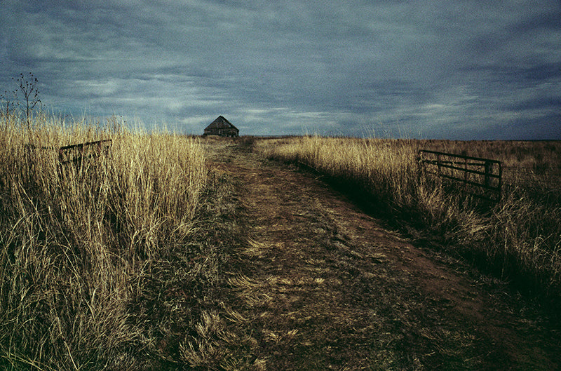 Returning Home