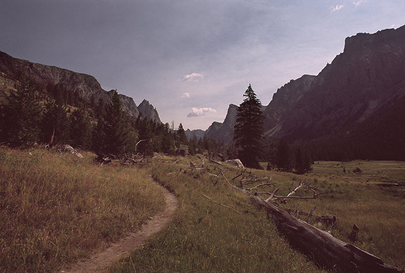 Path to Existence