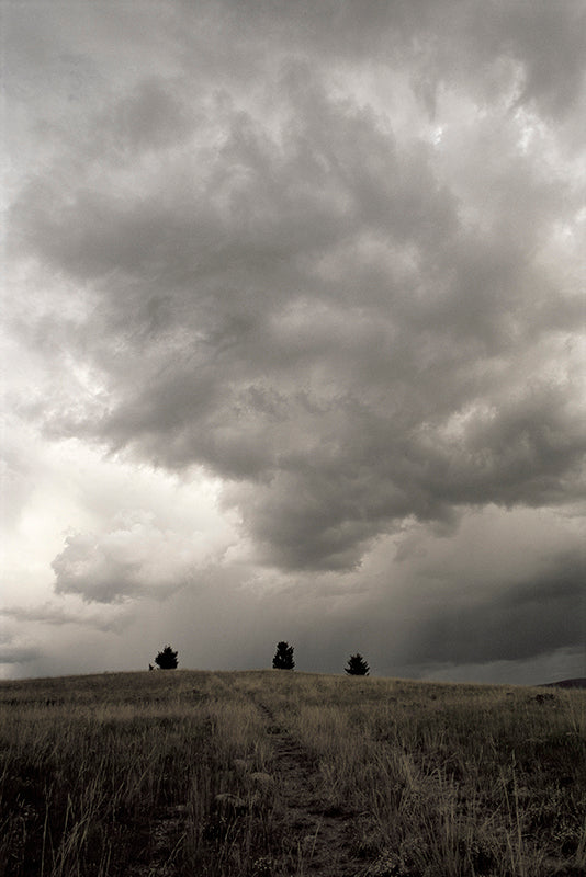 The Calling II