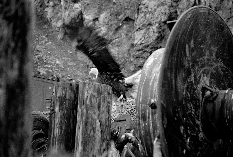 Lift image 0