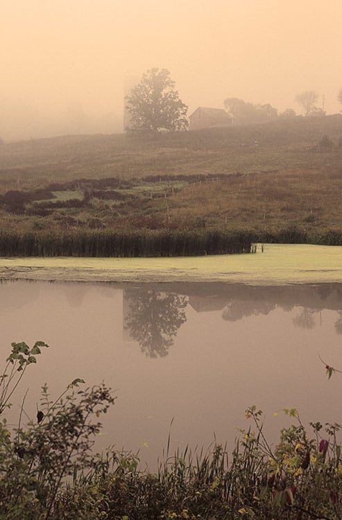 The Awakening II image 0