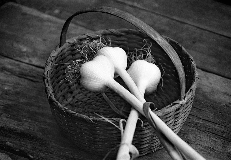 Garlic Harvest image 0