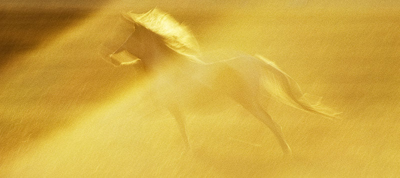 Light Dancer image 0