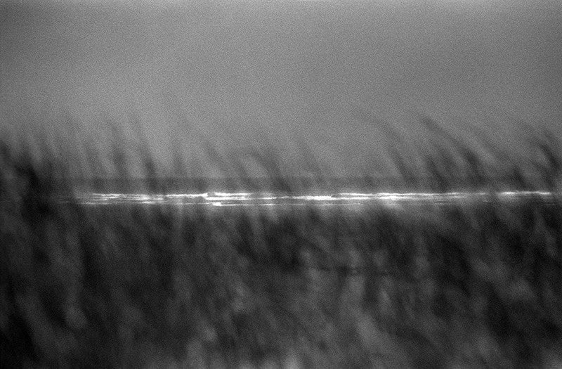 Taken by the Tide image 0