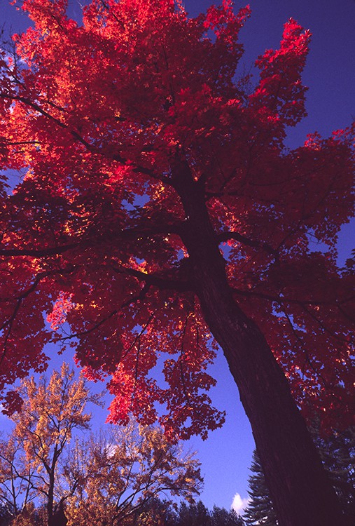 Fire in the Sky image 0