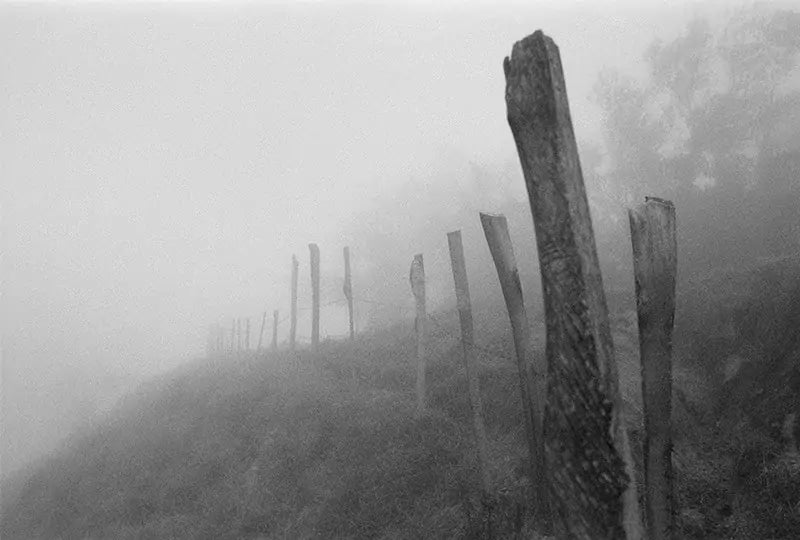 The Beginning image 0