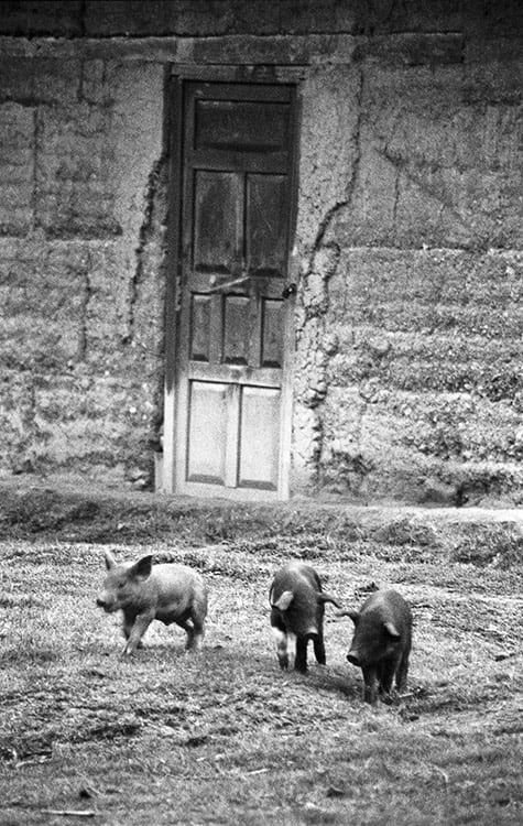 In Pursuit of Trouble image 0