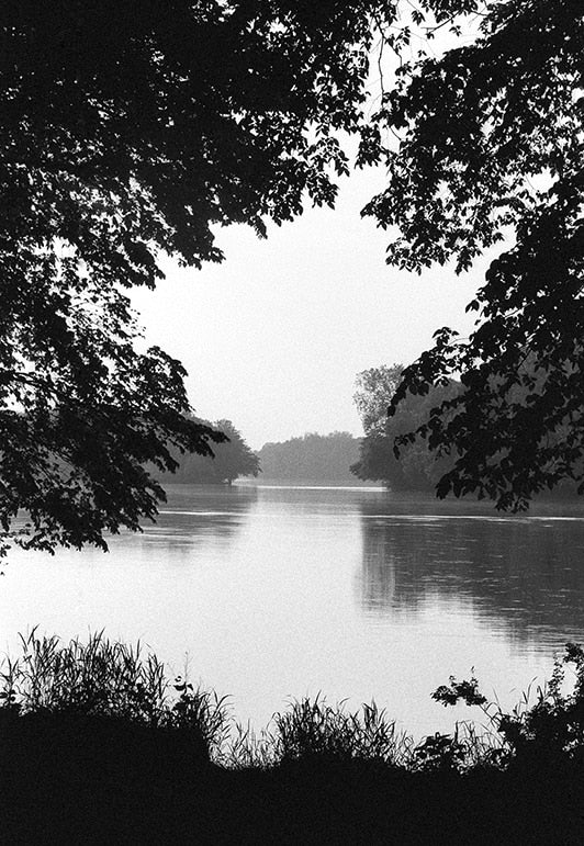 The Sound of Silence image 0