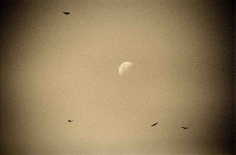 Moon Song image 0