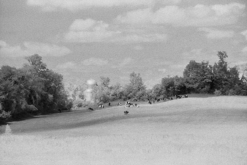 Danby Hill Farm image 0