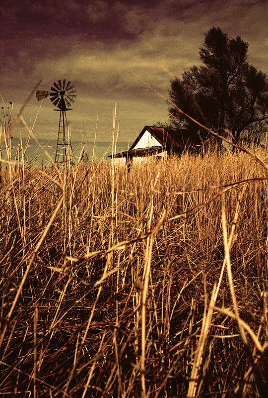 Home on the Range